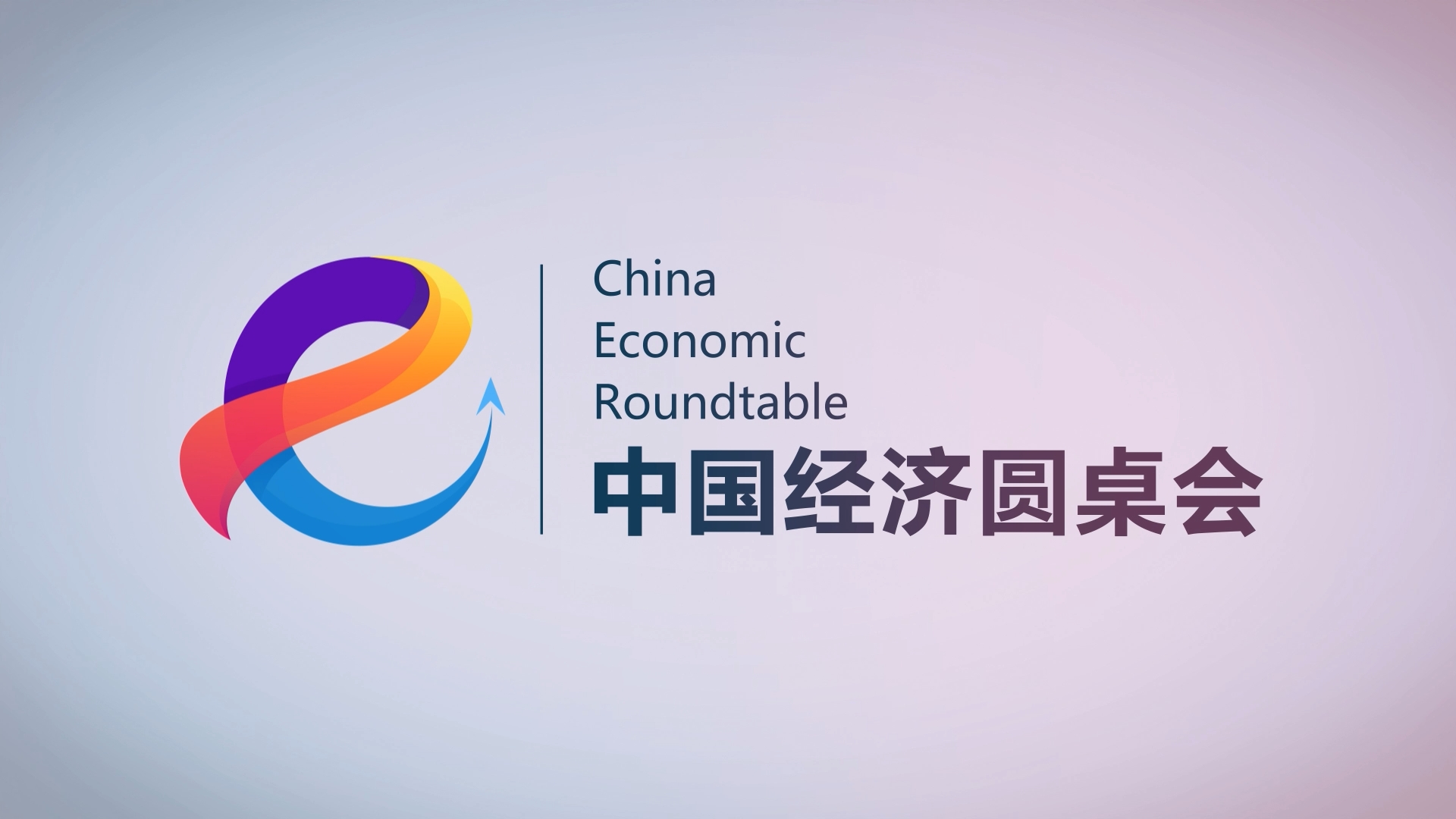 兩會進行時 | 袁玉宇代表受邀參加中國經(jīng)濟圓桌會