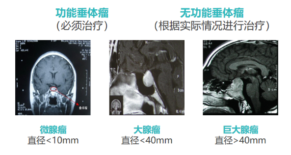 企業(yè)微信截圖_16956102039185.png