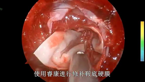 企業(yè)微信截圖_169561301320541111.png
